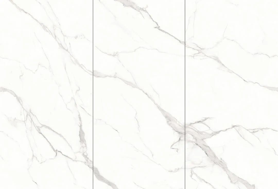 【新品】奢華定制，1600x3200mm成就大宅風(fēng)范！(圖24)